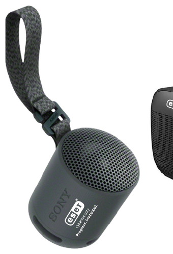 Sony SRSXB100 XB100 Compact Bluetooth Wireless Speaker