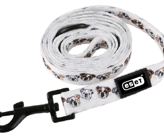 Dog Leash: Wide