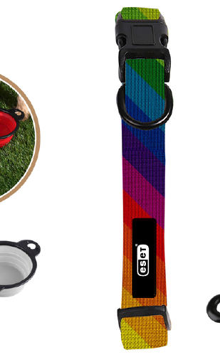 Dog Collar: Large